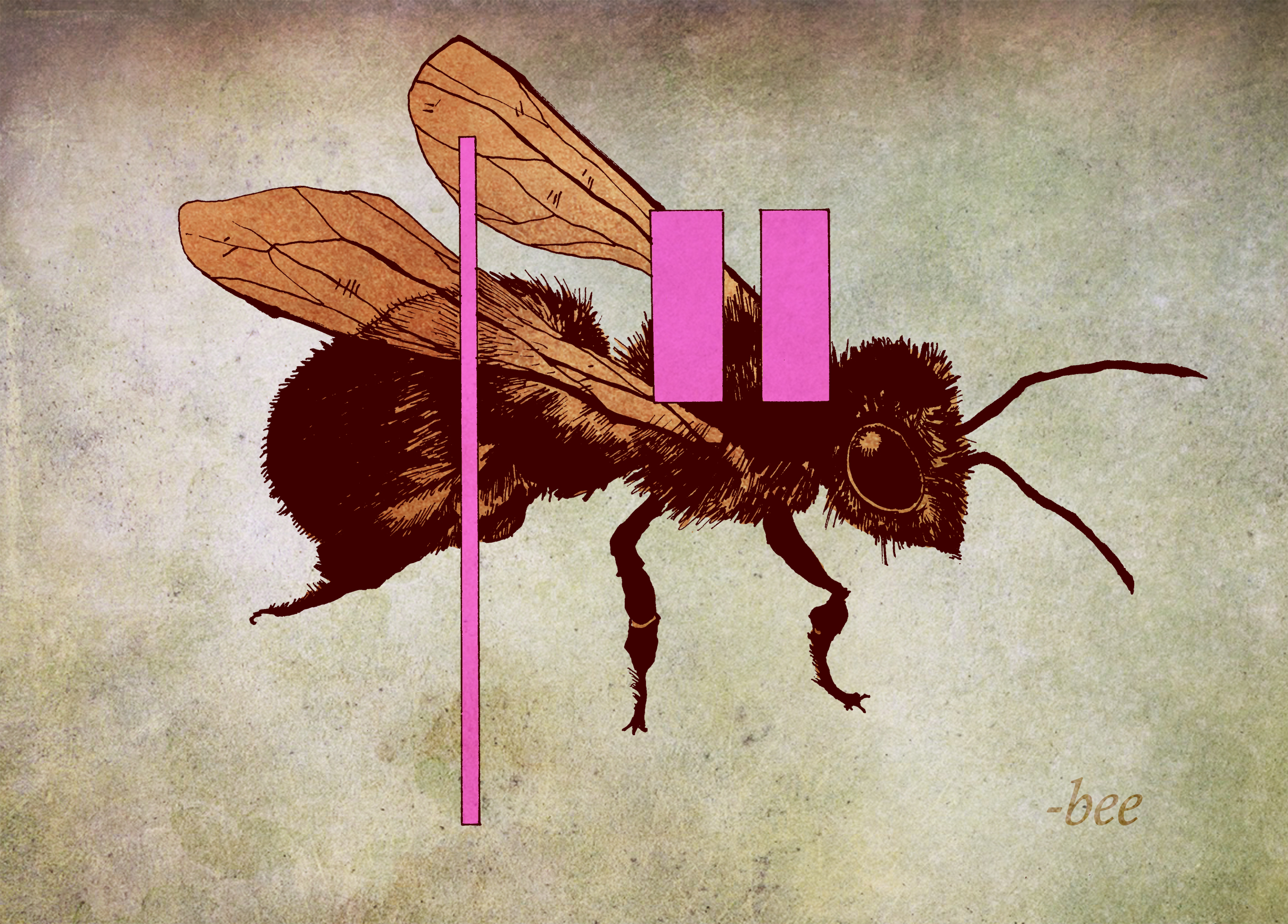 Bee